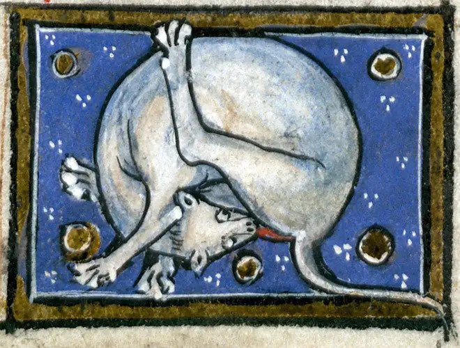 Középkori festmények a feneküket nyalogató macskákról